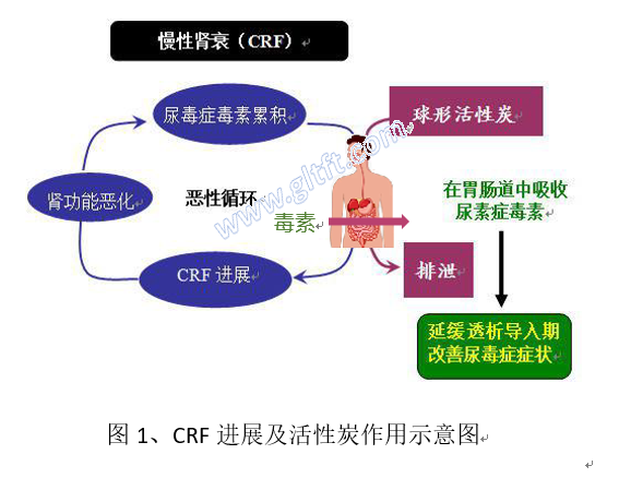 fig1-CRF进展及活性炭作用示意图